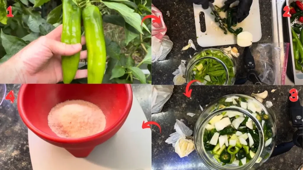 Step by Step Hatch Pepper Hot Sauce Recipe