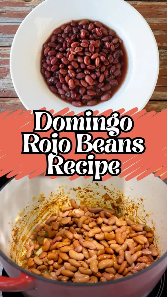 Domingo Rojo Beans